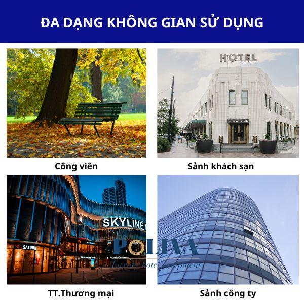 Đa dạng không gian sử dụng