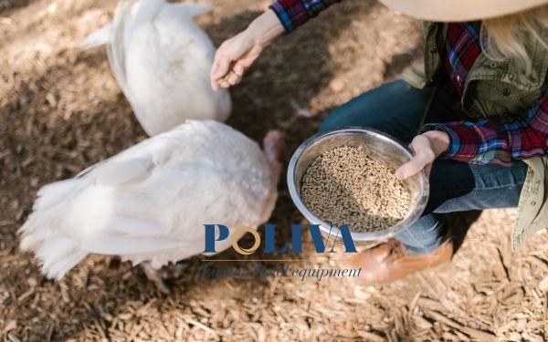 Rác thải hữu cơ có thể tái chế thành tức ăn cho vật nuôi