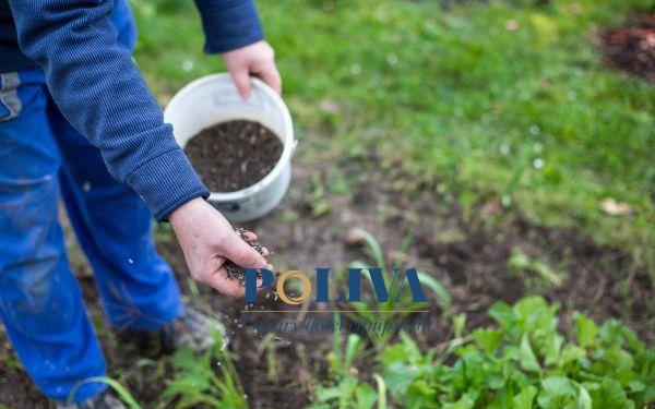 Tái chế sinh học đem lại lợi ích to lớn cho việc chăm sóc cây trồng