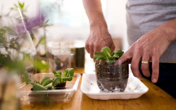 Tái sử dụng những vật dụng