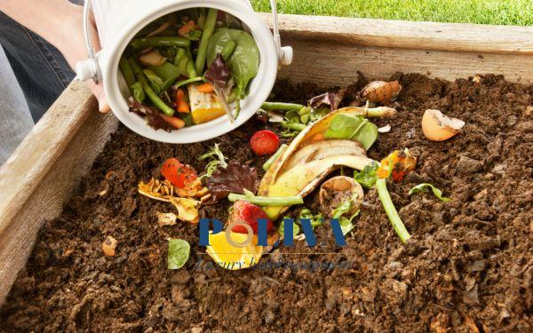 Ủ rác thải hữu cơ làm phân bón chăm sóc cây trồng