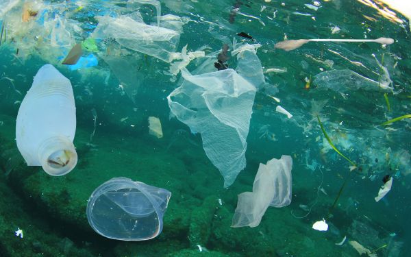 Rác thải nhựa gây ô nhiễm nghiêm trọng tới môi trường đất và nước