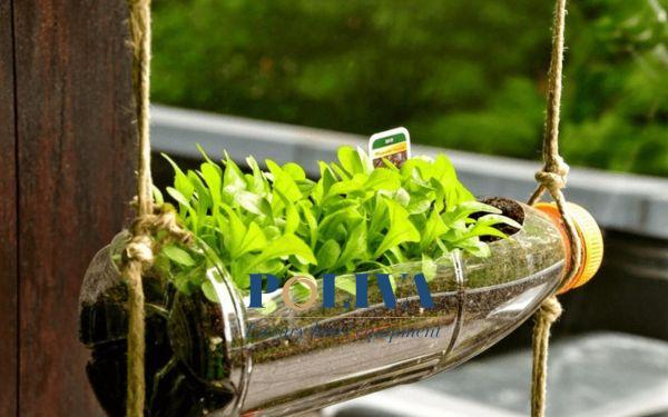 Những ý tưởng tái chế rác thải nhựa