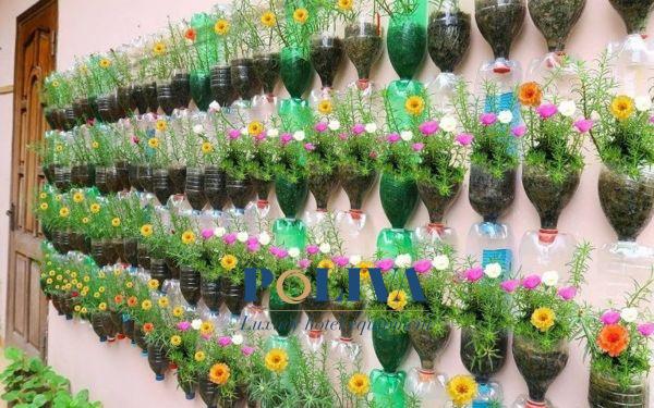 Làm chậu cây bằng chai nhựa bỏ đi 