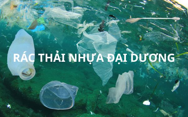 Cá ăn nhựa, người ăn cá: Vòng luẩn quẩn từ rác thải nhựa đại dương