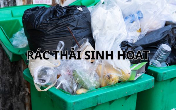 Có mấy loại rác thải? Rác thải sinh hoạt