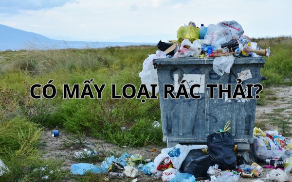 Có mấy loại rác thải – Phân loại rác thải sao cho đúng?