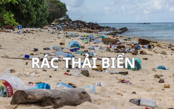 Vai trò của cộng đồng trong việc xử lý rác thải biển