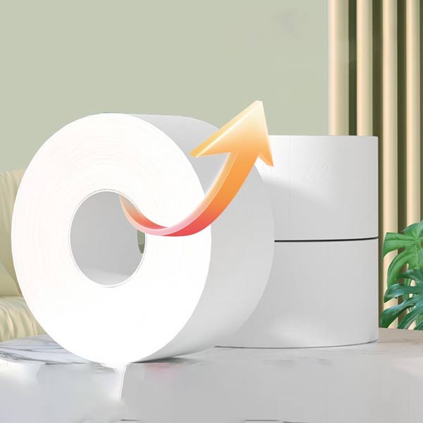 Giấy vệ sinh cuộn lớn 700g