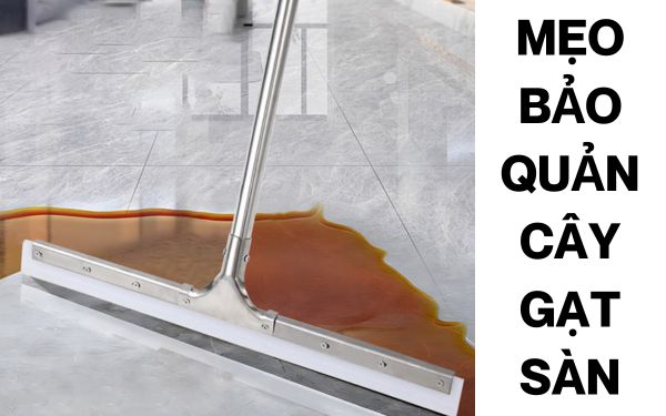 Mẹo vệ sinh và bảo quản cây gạt sàn để kéo dài tuổi thọ 2–3 năm