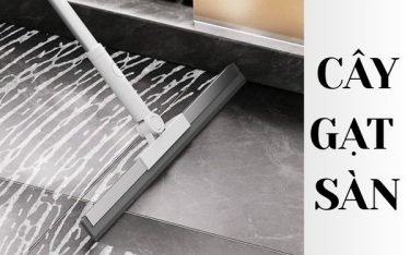 Cây gạt sàn là gì? Hướng dẫn phân loại cây gạt sàn nước phổ biến