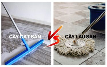 Phân biệt cây gạt nước và cây lau sàn: Hai công cụ làm sạch sàn phổ biến