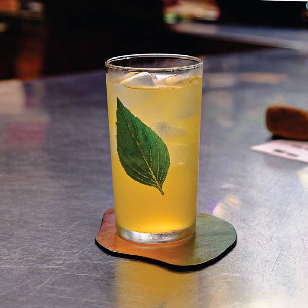 Thiết kế đơn giản của Ly Collins