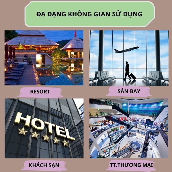 Đa dạng không gian sử dụng