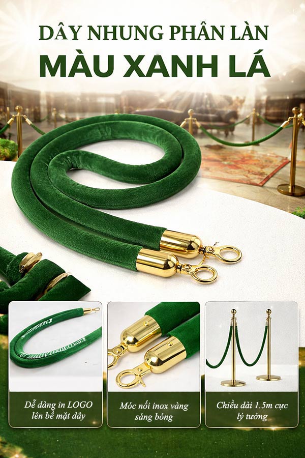 Hình ảnh mô tả sản phẩm