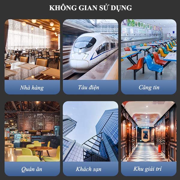 Đa dạng không gian sử dụng