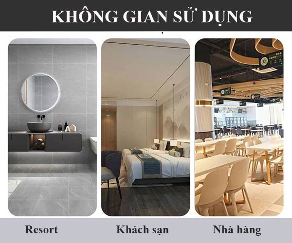 Đa dạng không gian sử dụng