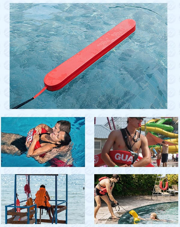 Đa dạng không gian sử dụng